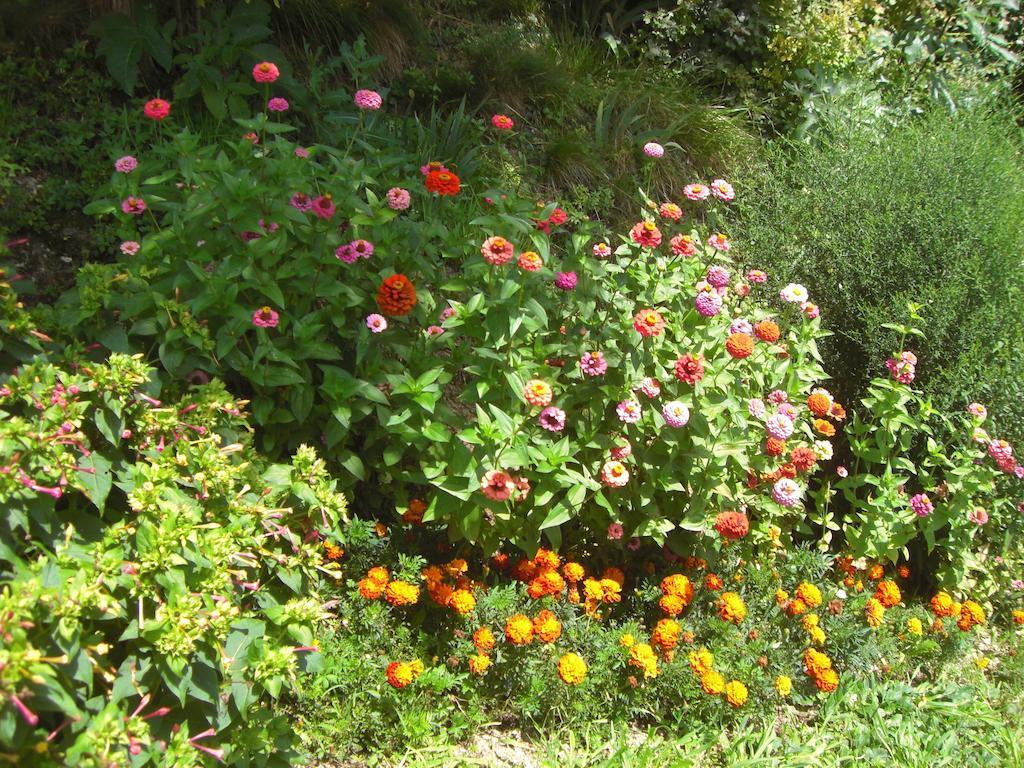 Bed and Breakfast Al Mulino Fregona Екстер'єр фото